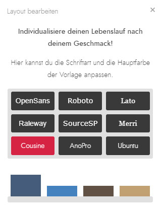 Screenshot des CVhero.com Editors