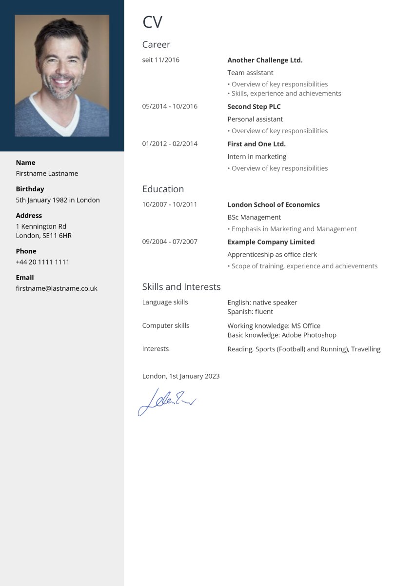 Example for Professional CV