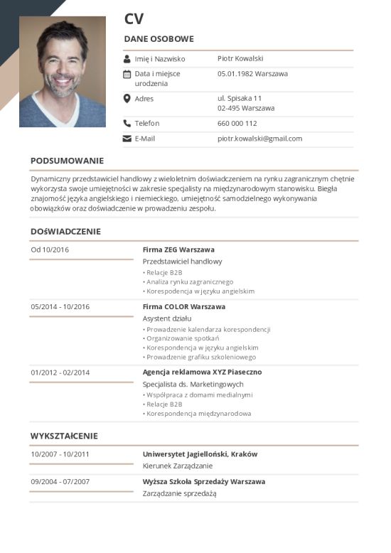 Szablon CV z ukośnymi paskami